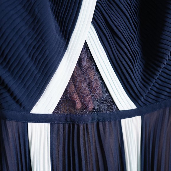 BCBG MAXAZRIA Maxi Pleated Evening Gown with Subtle Transparencies - Size 6 - Picture 7 of 13